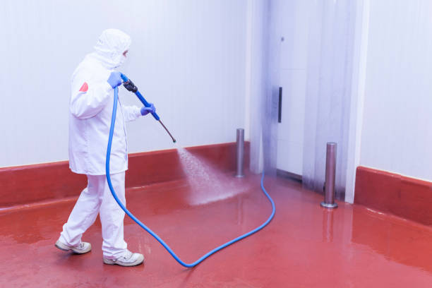 Best Warehouse Cleaning  in Valley Center, CA